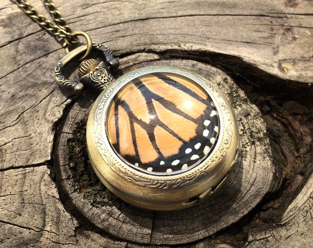 Real Butterfly Monarch Pocket Watch