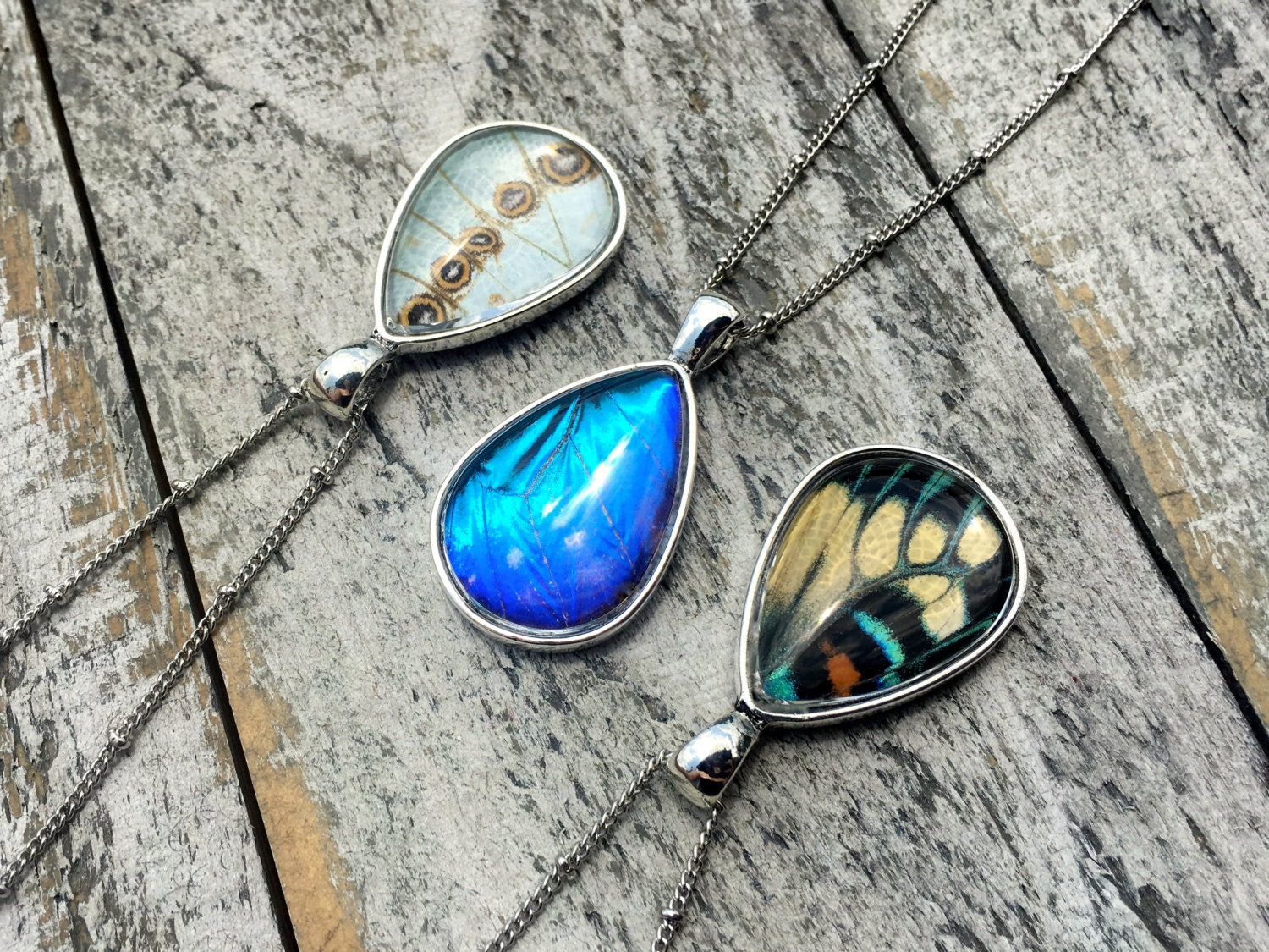 Real butterfly wing necklace Best friend necklace for 2 3 4 5 Terrarium jewelry Friendship necklaces for women Taxidermy butterfly jewelry