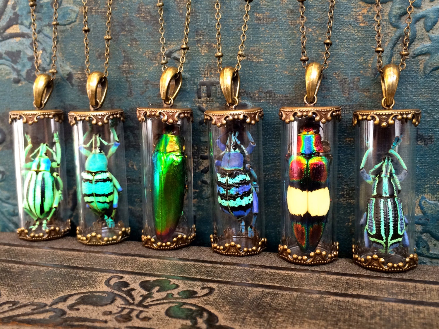 Real bug necklace Witchy jewelry Insect necklace Science jewelry Glass vial necklace Specimen necklace Ethically sourced beetle necklace