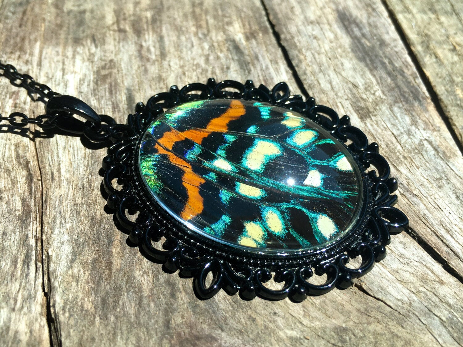 Real moth necklace Butterfly wing jewelry Stranger things necklace Creepy cute jewelry Weird stuff Taxidermy insect necklace Eco friendly