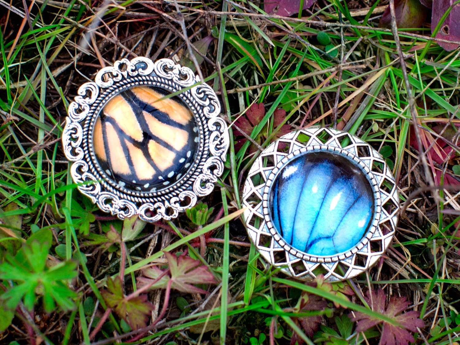 Real Butterfly brooch pin Butterfly wing jewelry Real butterfly jewelry Butterfly wing brooch Insect pin Real insect jewelry Butterfly pin