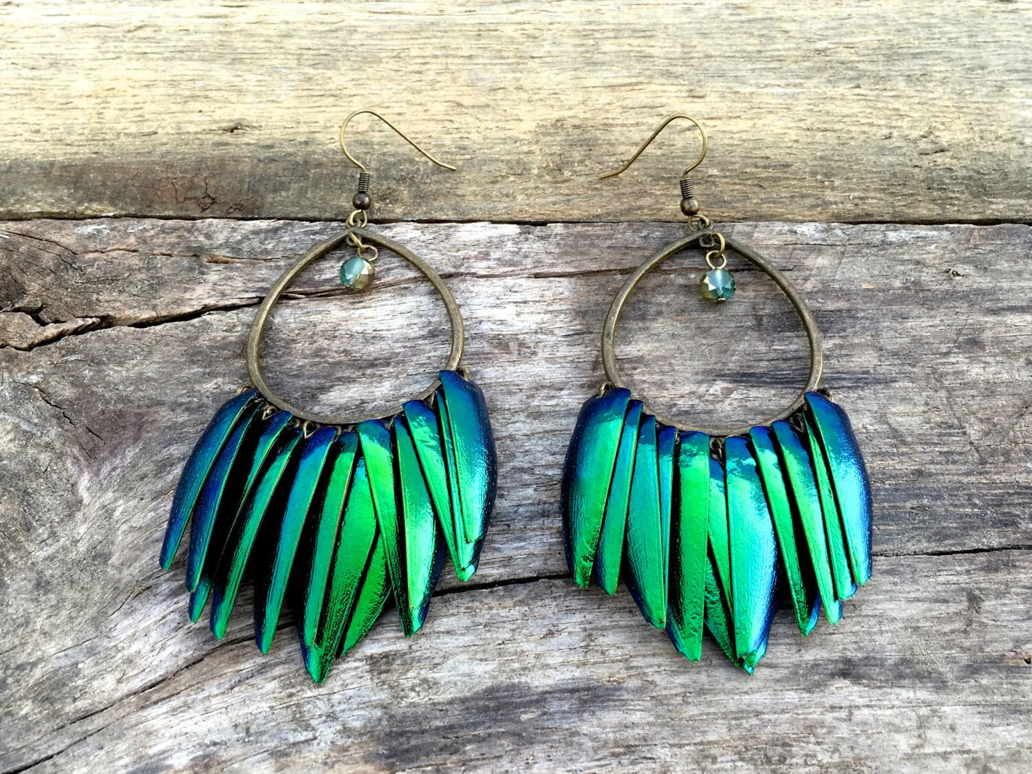 Real beetle wing earrings Taxidermy bug earrings Large statement earrings Insect earrings Elytra green beetle earrings Statement hoops