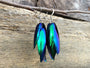 Real Beetle wing earrings Insect earrings Beetle earrings Real bug earrings Jewel beetle wing jewelry Insect wing earrings