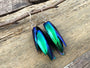 Real Beetle wing earrings Insect earrings Beetle earrings Real bug earrings Jewel beetle wing jewelry Insect wing earrings