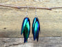 Real Beetle wing earrings Insect earrings Beetle earrings Real bug earrings Jewel beetle wing jewelry Insect wing earrings
