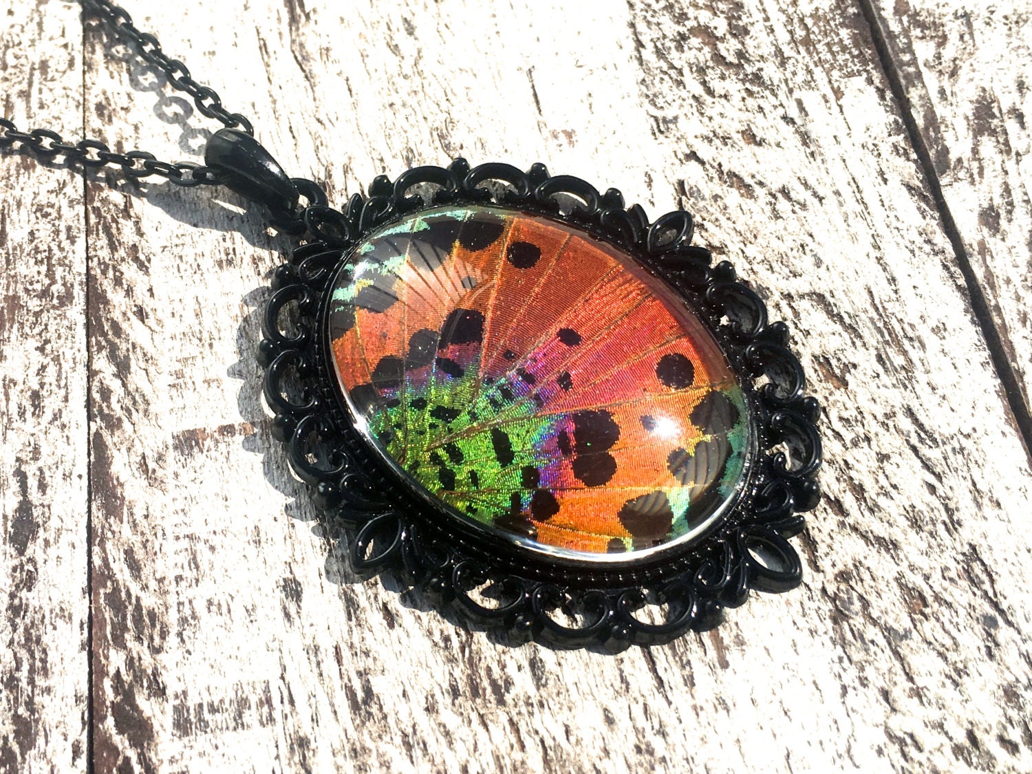 Real Butterfly wing necklace Pastel goth Long black necklace Pastel grunge Sunset Moth jewelry Black pearl Rainbow necklace Real insect