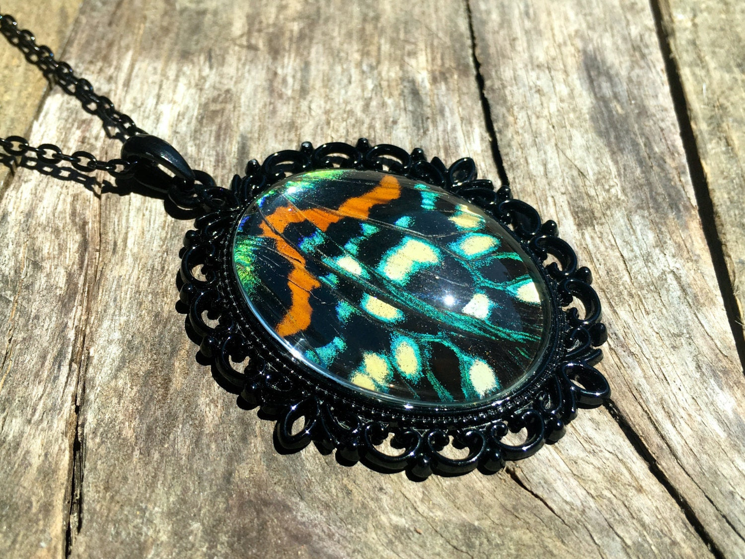 Real moth necklace Butterfly wing jewelry Stranger things necklace Creepy cute jewelry Weird stuff Taxidermy insect necklace Eco friendly