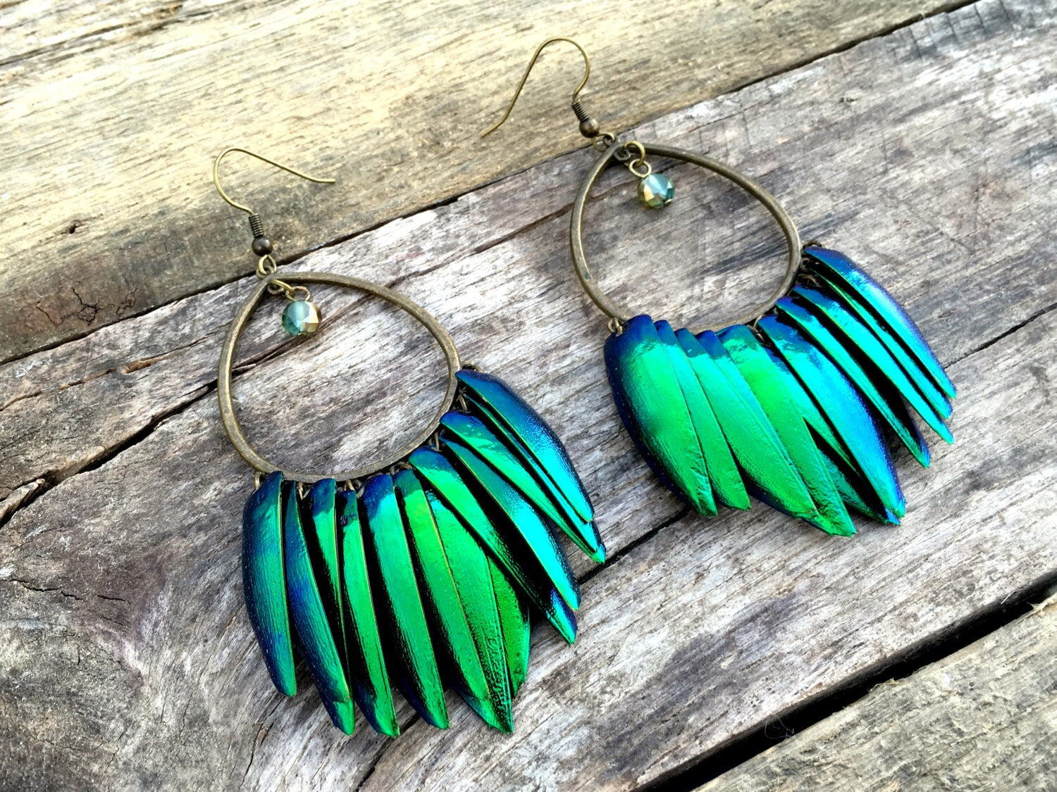 Real beetle wing earrings Taxidermy bug earrings Large statement earrings Insect earrings Elytra green beetle earrings Statement hoops