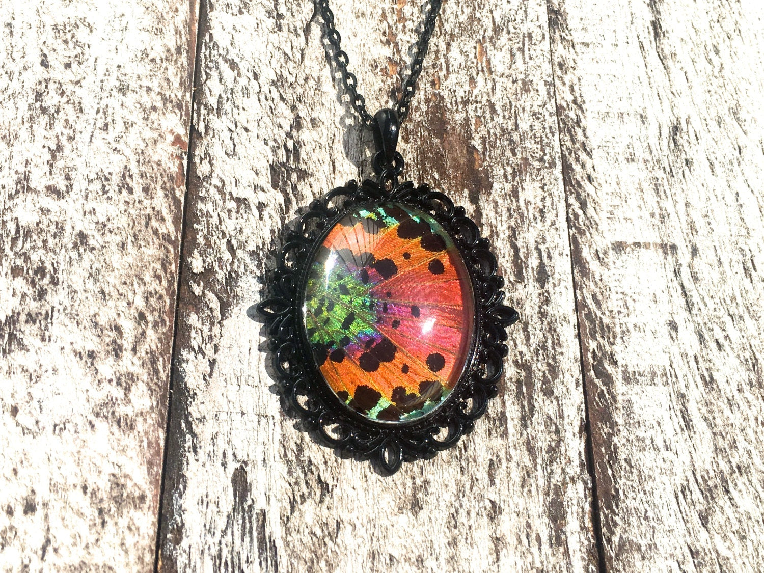 Real Butterfly wing necklace Pastel goth Long black necklace Pastel grunge Sunset Moth jewelry Black pearl Rainbow necklace Real insect