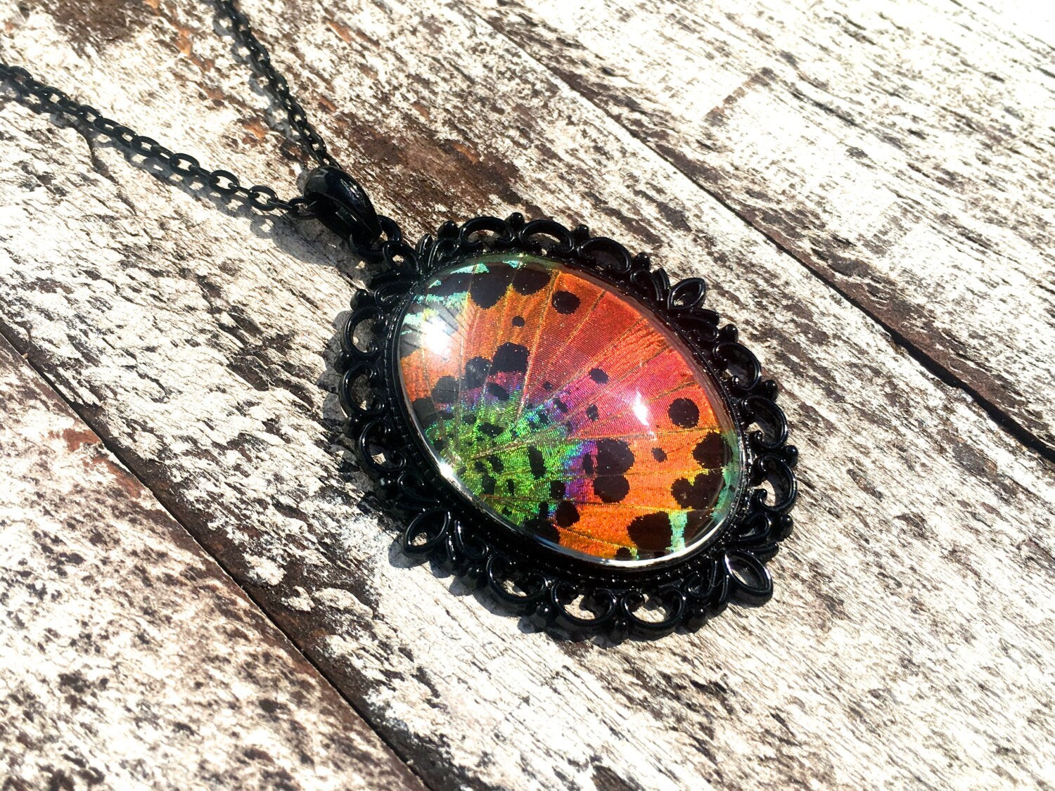 Real Butterfly wing necklace Pastel goth Long black necklace Pastel grunge Sunset Moth jewelry Black pearl Rainbow necklace Real insect