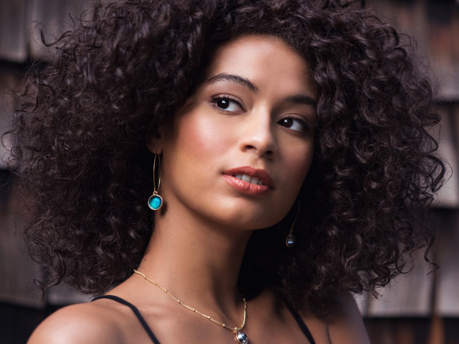 Real Dragonfly earrings Gold threader earrings Dragon wing earrings Gold dragon fly earrings Taxidermy earrings Real butterfly wing jewelry