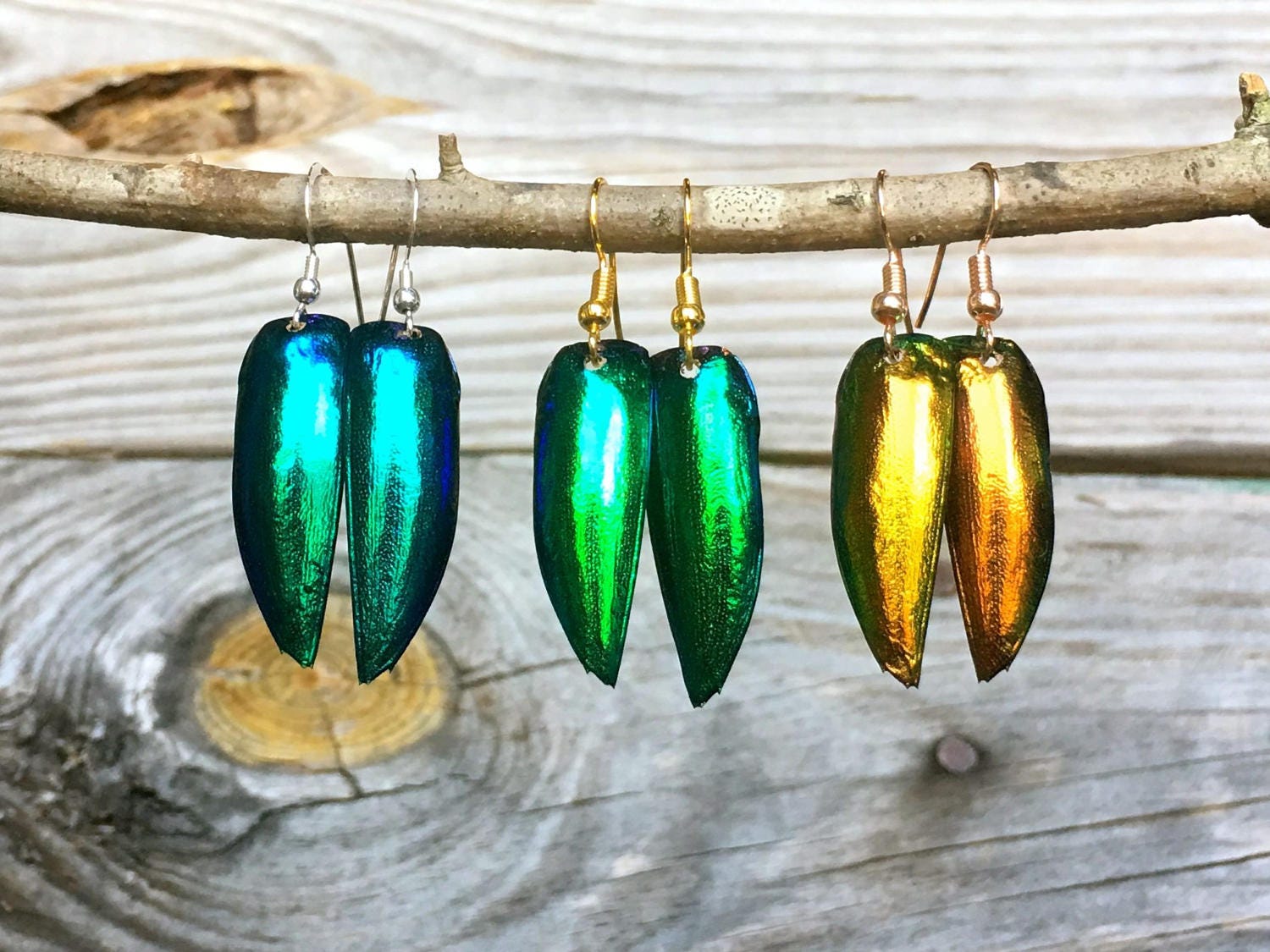 Real jewel beetle earrings Witchy earrings Insect jewelry Bug earrings Witchy jewelry Green beetle wing earrings Real insect jewelry
