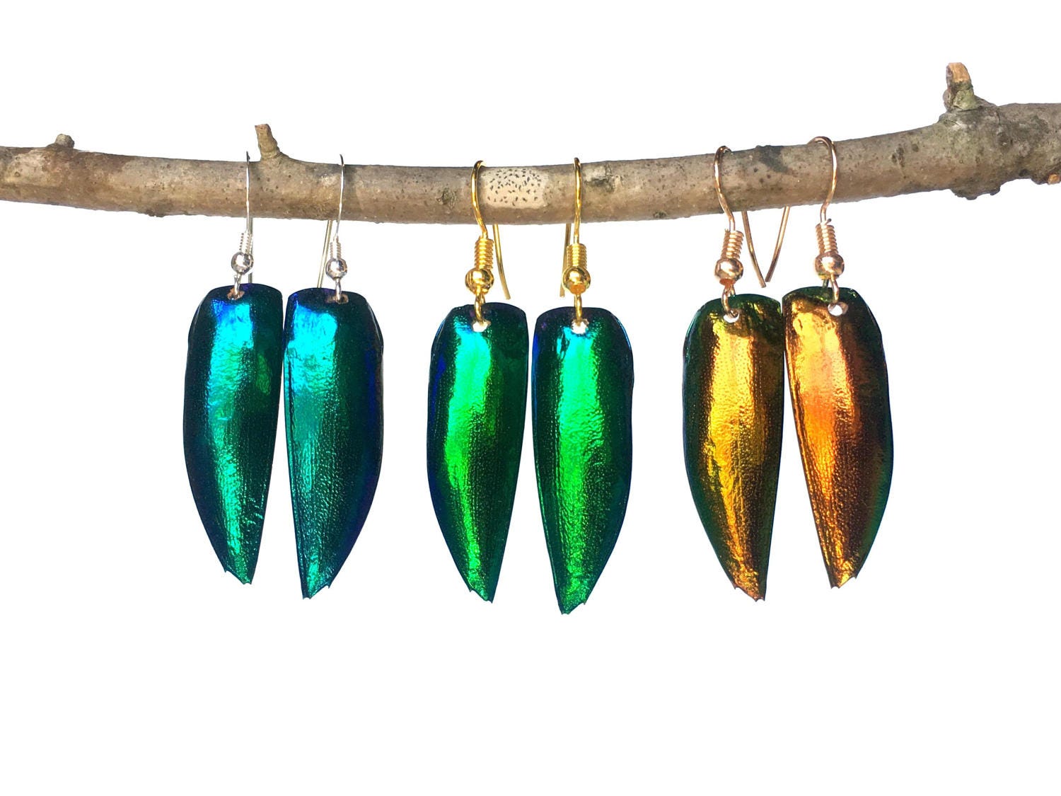 Real jewel beetle earrings Witchy earrings Insect jewelry Bug earrings Witchy jewelry Green beetle wing earrings Real insect jewelry