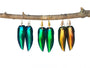 Real jewel beetle wing earrings Witchy jewelry Insect jewelry Bug earrings Witchy gifts Green beetle earrings Real insect jewelry