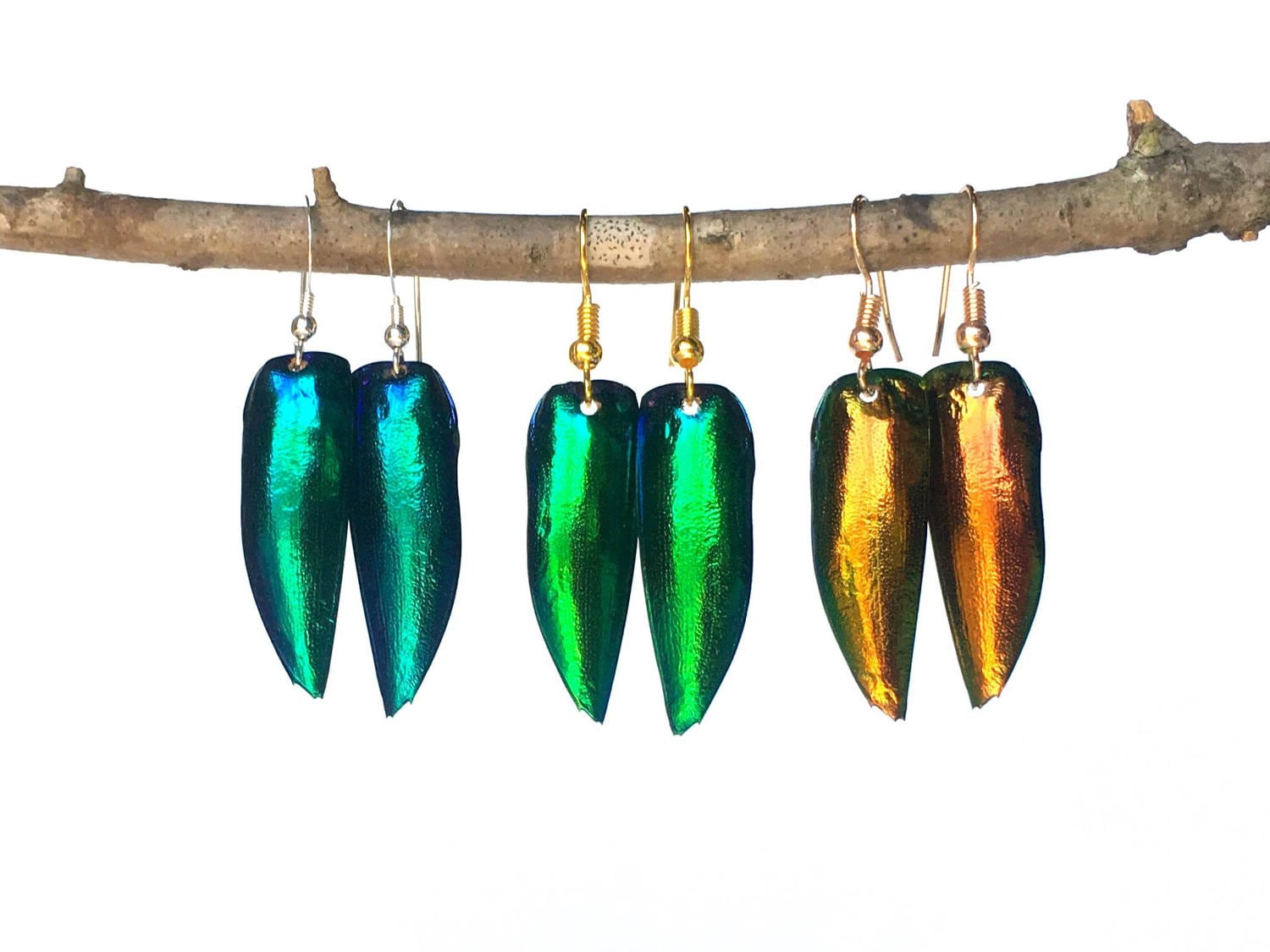 Real jewel beetle earrings Witchy earrings Insect jewelry Bug earrings Witchy jewelry Green beetle wing earrings Real insect jewelry