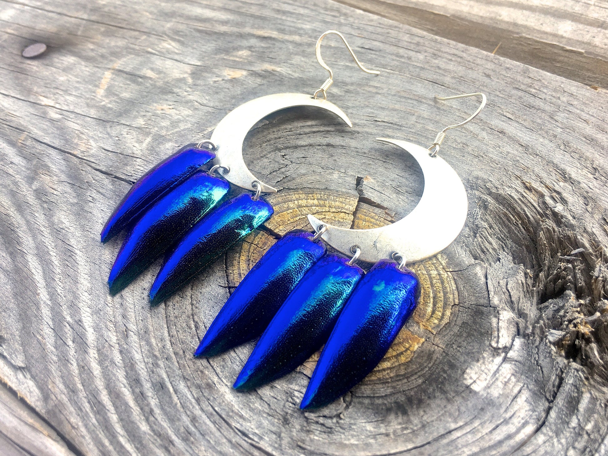 Real beetle wing earrings Wiccan Jewelry Crescent moon earrings Sailor moon earrings Witchy earrings Moon phase earrings Elytra earrings