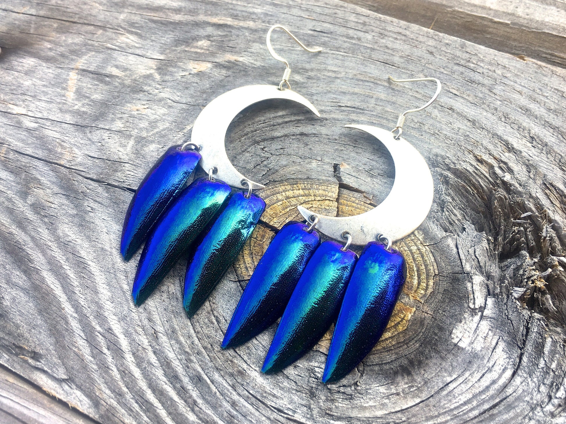 Real beetle wing earrings Wiccan Jewelry Crescent moon earrings Sailor moon earrings Witchy earrings Moon phase earrings Elytra earrings