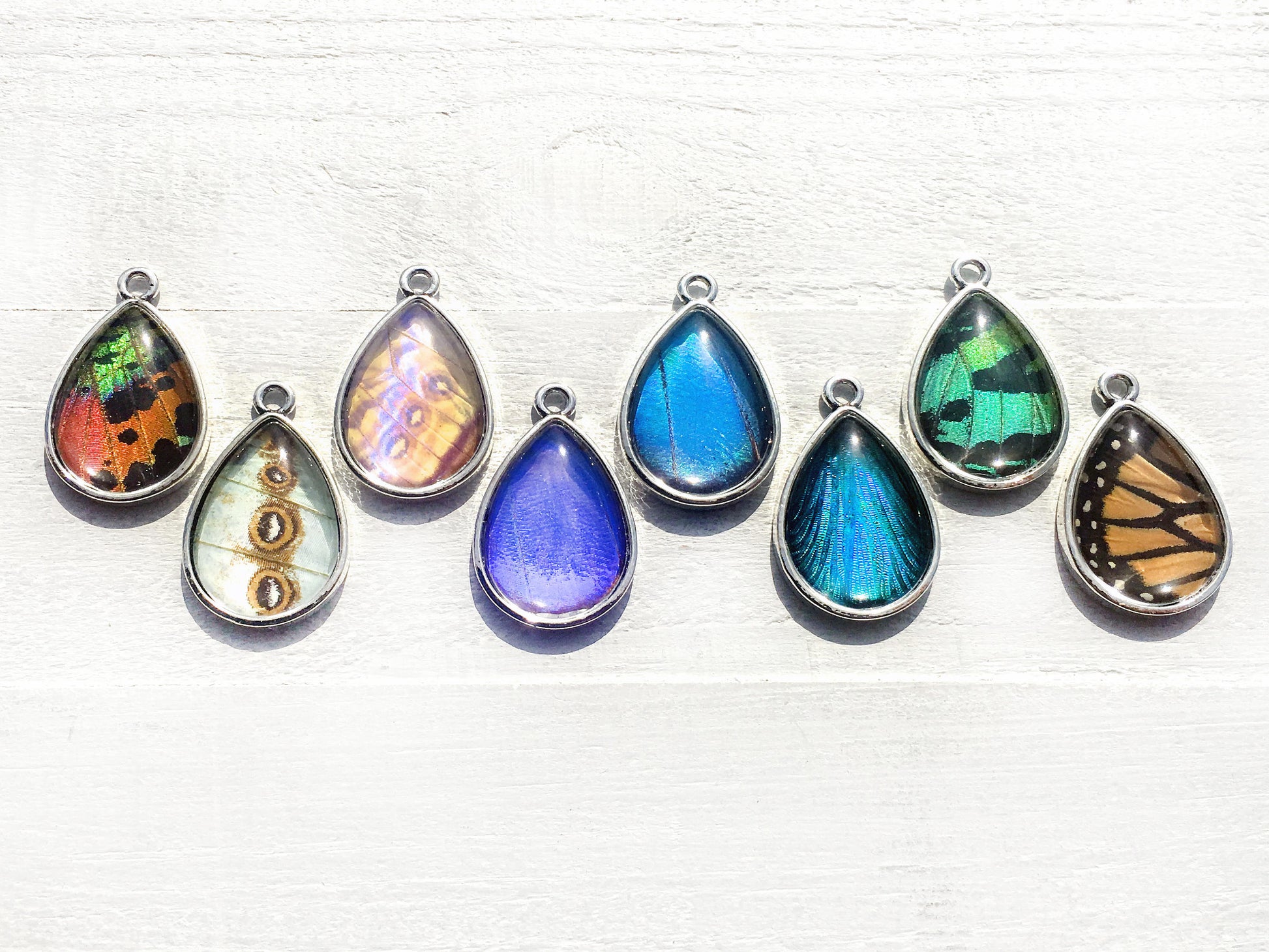 Real butterfly wing earrings Monarch butterfly earrings Terrarium earrings Real bug earrings Pressed flower earrings Fairy wings costume