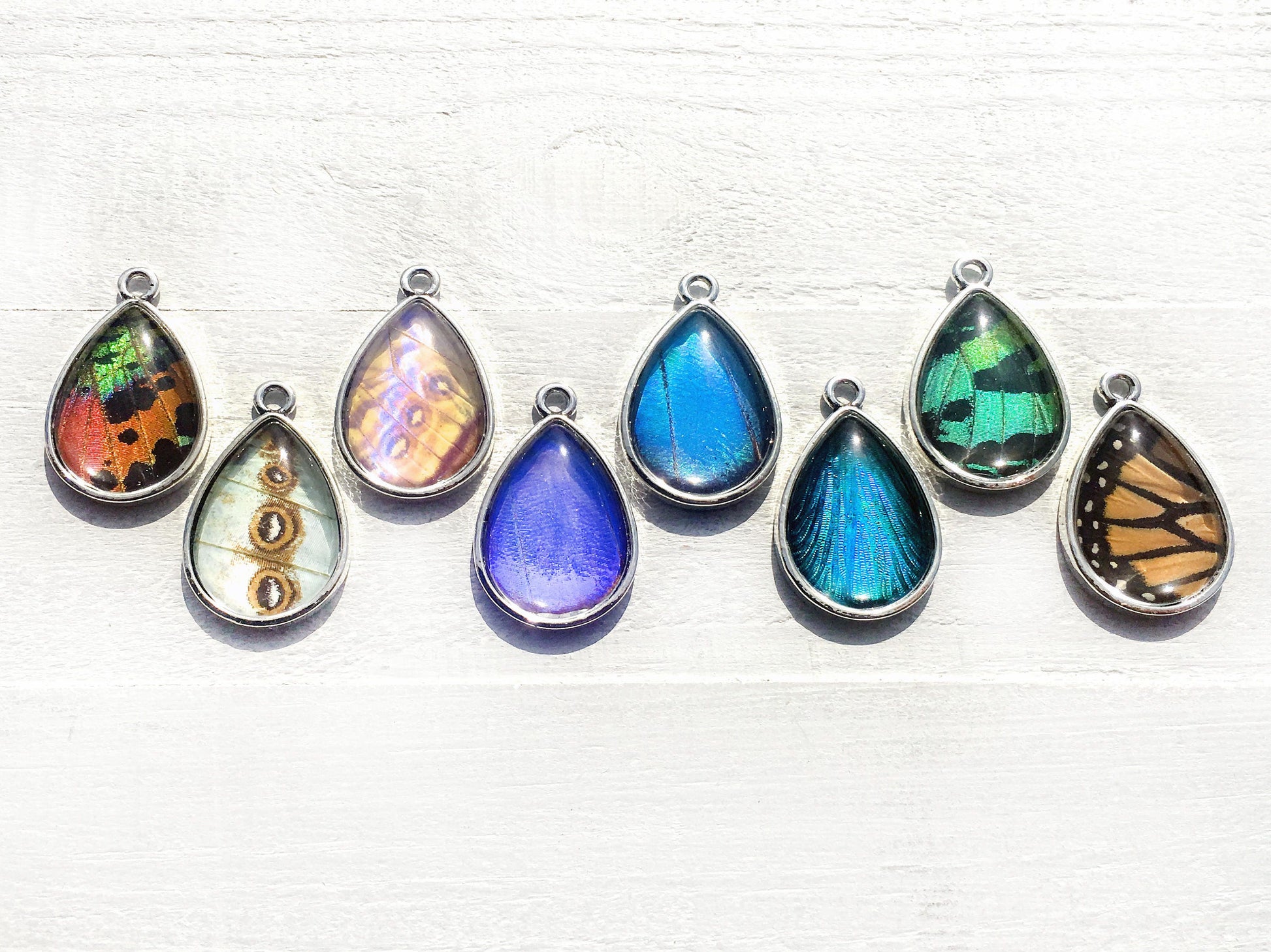 Real butterfly wing earrings Real moth earrings Pressed butterfly earrings Sterling silver butterfly earrings Pressed flower earrings