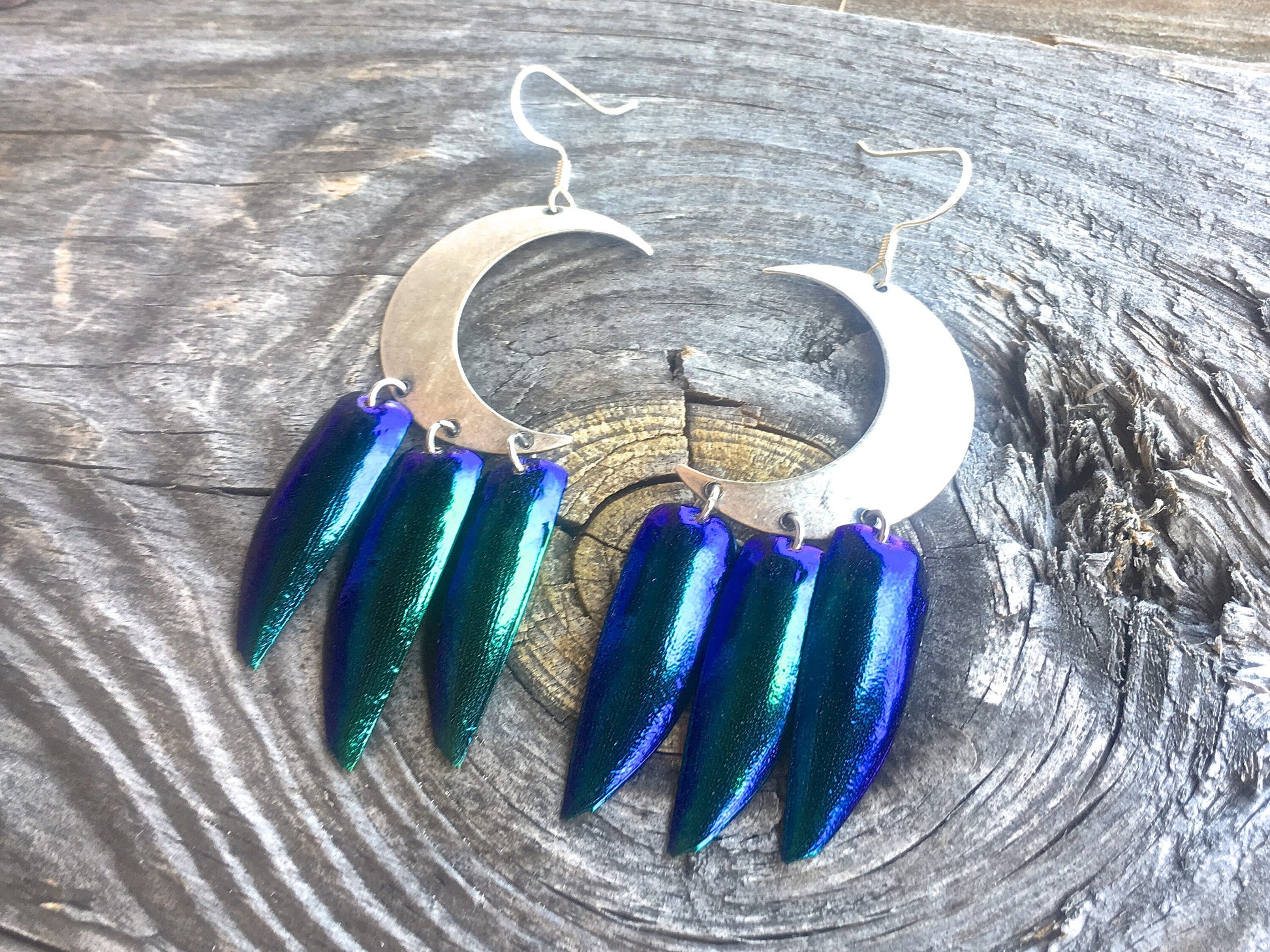Real beetle wing earrings Wiccan Jewelry Crescent moon earrings Sailor moon earrings Witchy earrings Moon phase earrings Elytra earrings
