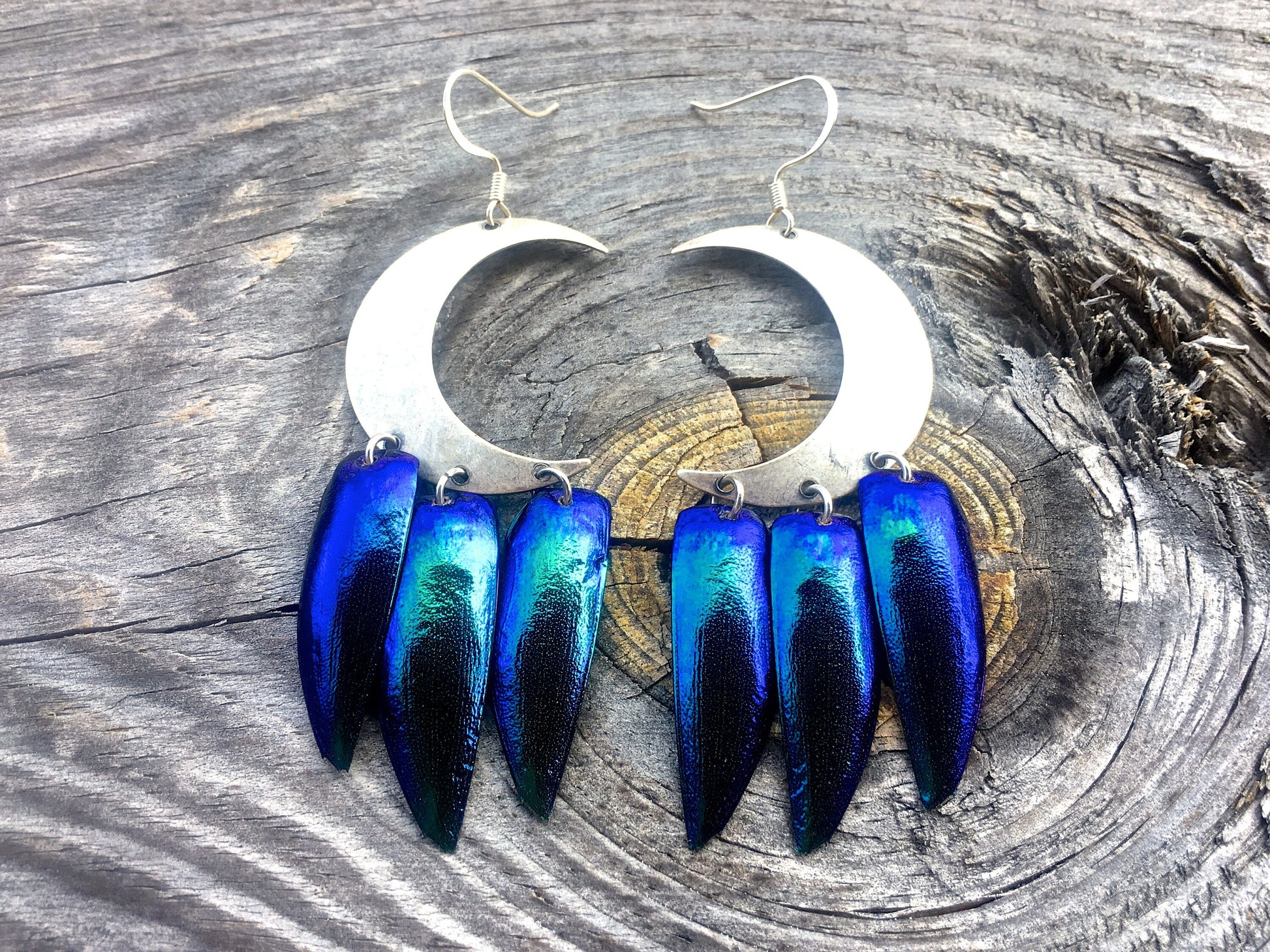 Real beetle wing earrings Wiccan Jewelry Crescent moon earrings Sailor moon earrings Witchy earrings Moon phase earrings Elytra earrings