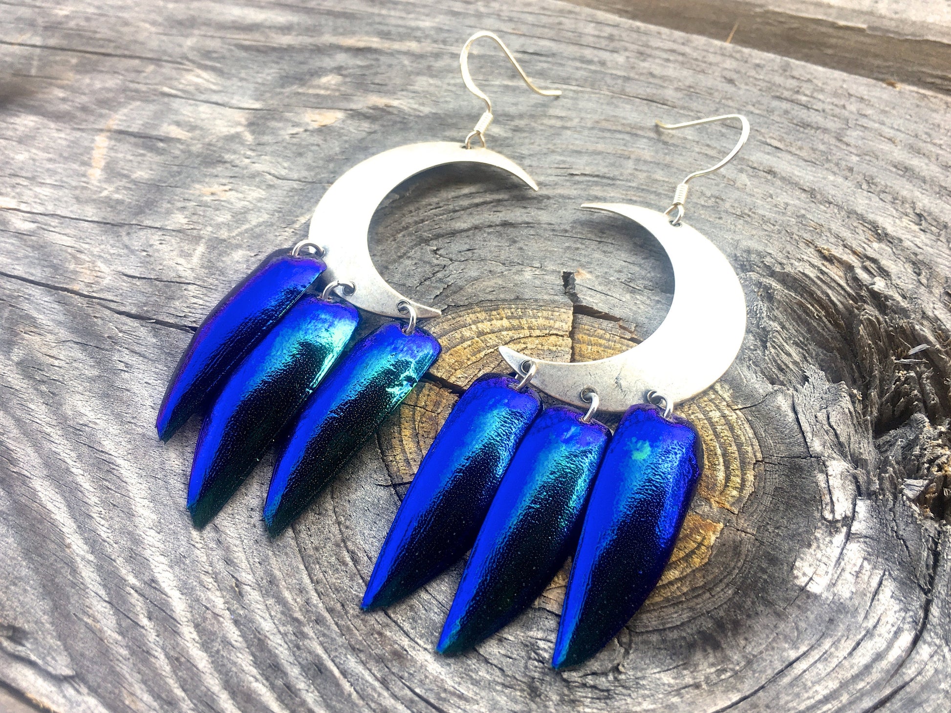 Real beetle wing earrings Wiccan Jewelry Crescent moon earrings Sailor moon earrings Witchy earrings Moon phase earrings Elytra earrings