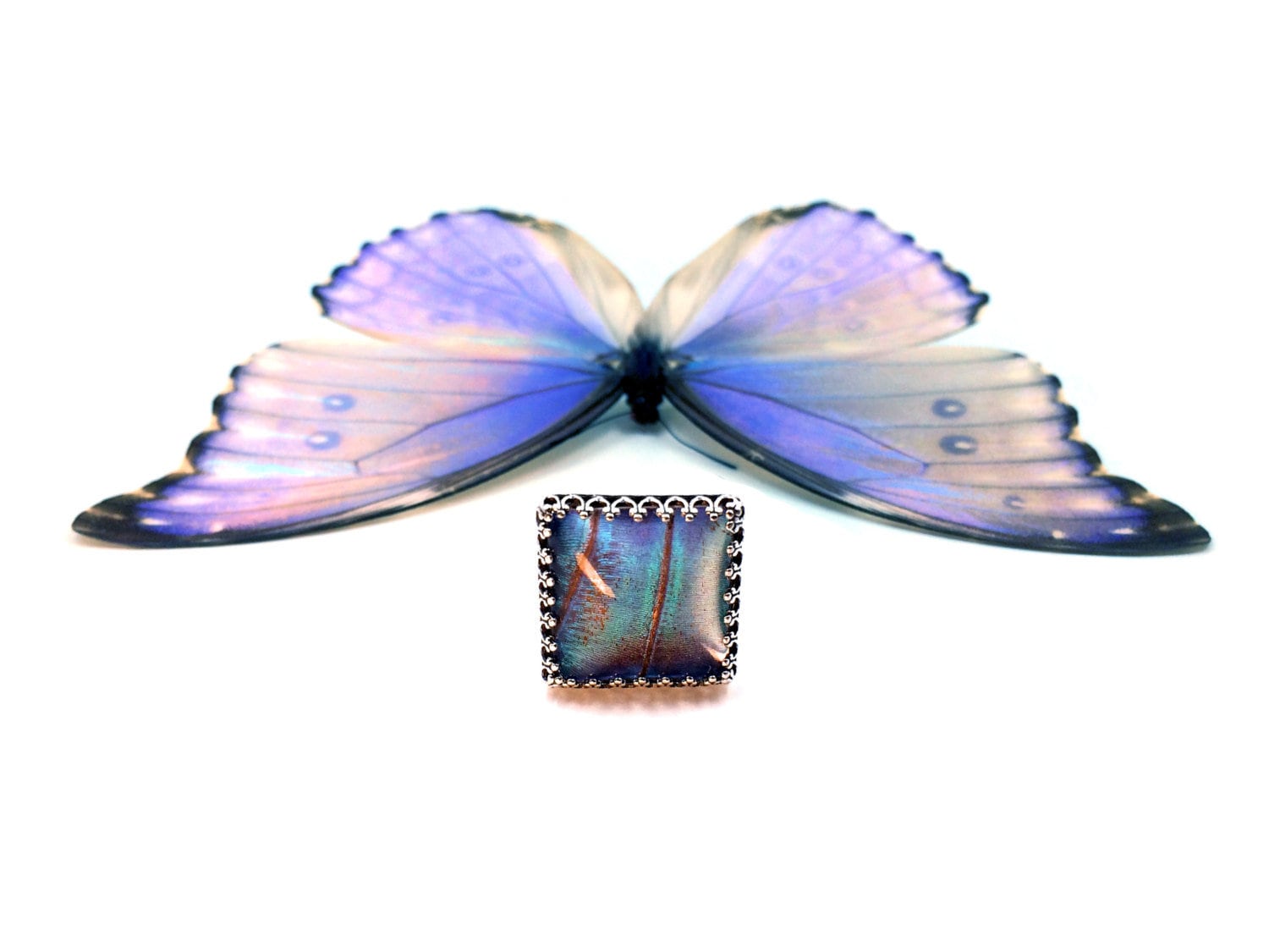 Real butterfly wing ring Sterling silver butterfly ring mood ring Adjustable rings for women Real butterfly ring for girlfriend Blue Morpho