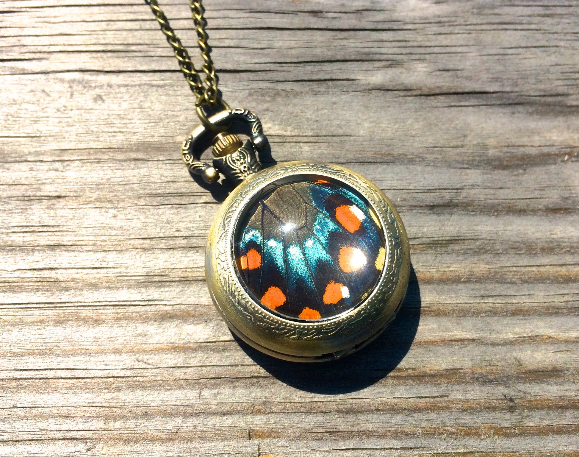 Butterfly Wing Necklace Real Insect Jewelry Working Pocket watch pendant Vampire Diaries mechanical Steampunk pocketwatch Statement Necklace