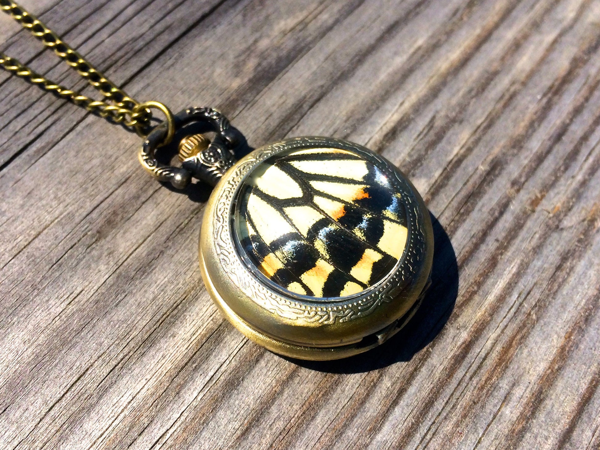 Butterfly Wing Necklace Real Insect Jewelry Working Pocket watch pendant Vampire Diaries mechanical Steampunk pocketwatch Statement Necklace