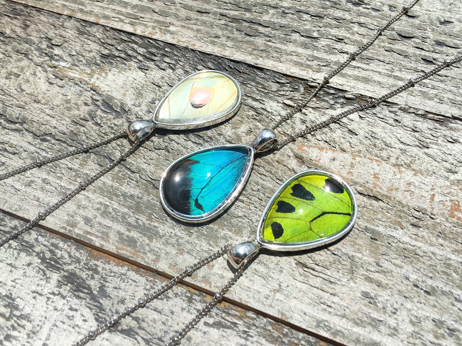 Real butterfly wing necklace Monarch butterfly necklace Friendship necklace for 2 3 4 5 6 Terrarium necklace Blue morpho butterfly jewelry