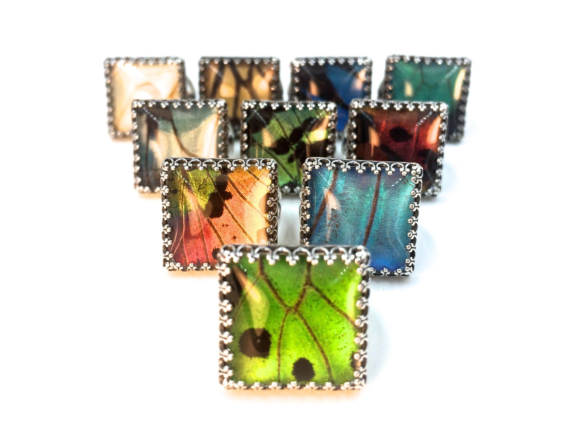 Real butterfly wing ring Sterling silver butterfly ring Witchy ring Pressed flower ring Real insect ring bug ring Botanical ring