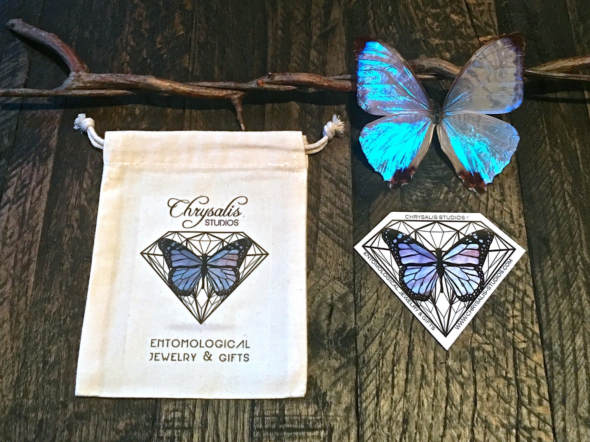 Real Mariposa butterfly necklace Nature jewelry Biology gifts Blue butterfly necklace Blue Morpho jewelry Life is strange Nature necklace