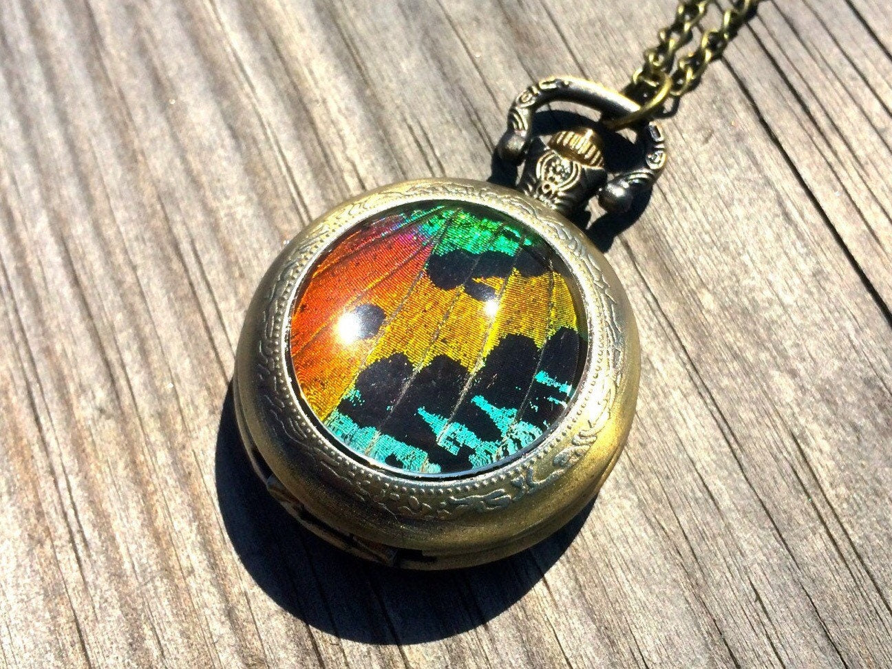 Real Sunset Moth Mechanical Pocket watch Necklace working Steampunk Pocketwatch moth patch preserved butterfly pressed butterfly rainbow