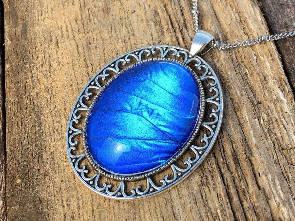 Recycled butterfly wing necklace Real butterfly necklace Blue morpho necklace necklace Ethically sourced butterfly jewelry