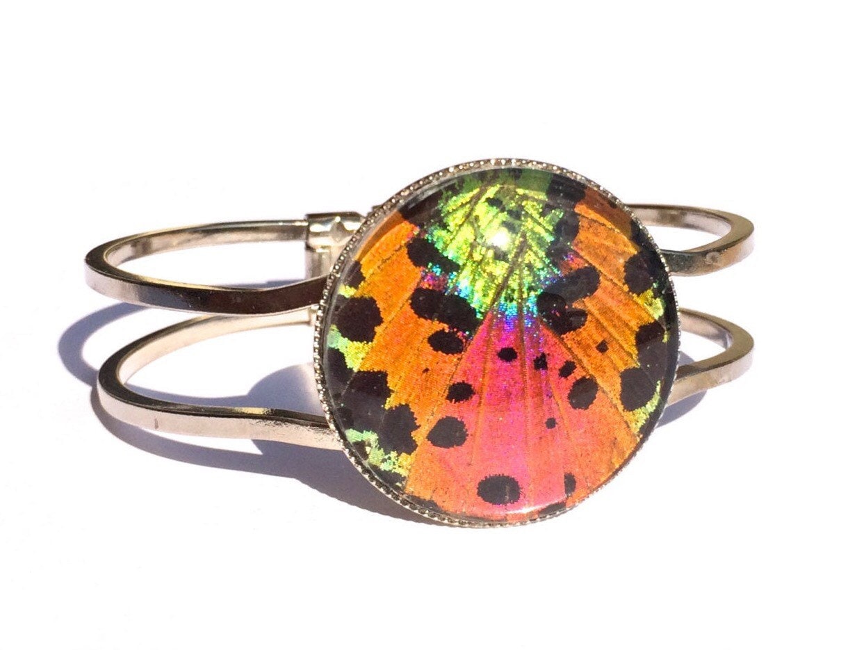 Colorful bracelet Real butterfly wing jewelry Rainbow bracelet Butterfly wing bracelet Shameless boho bangle Large cuff bracelet for women