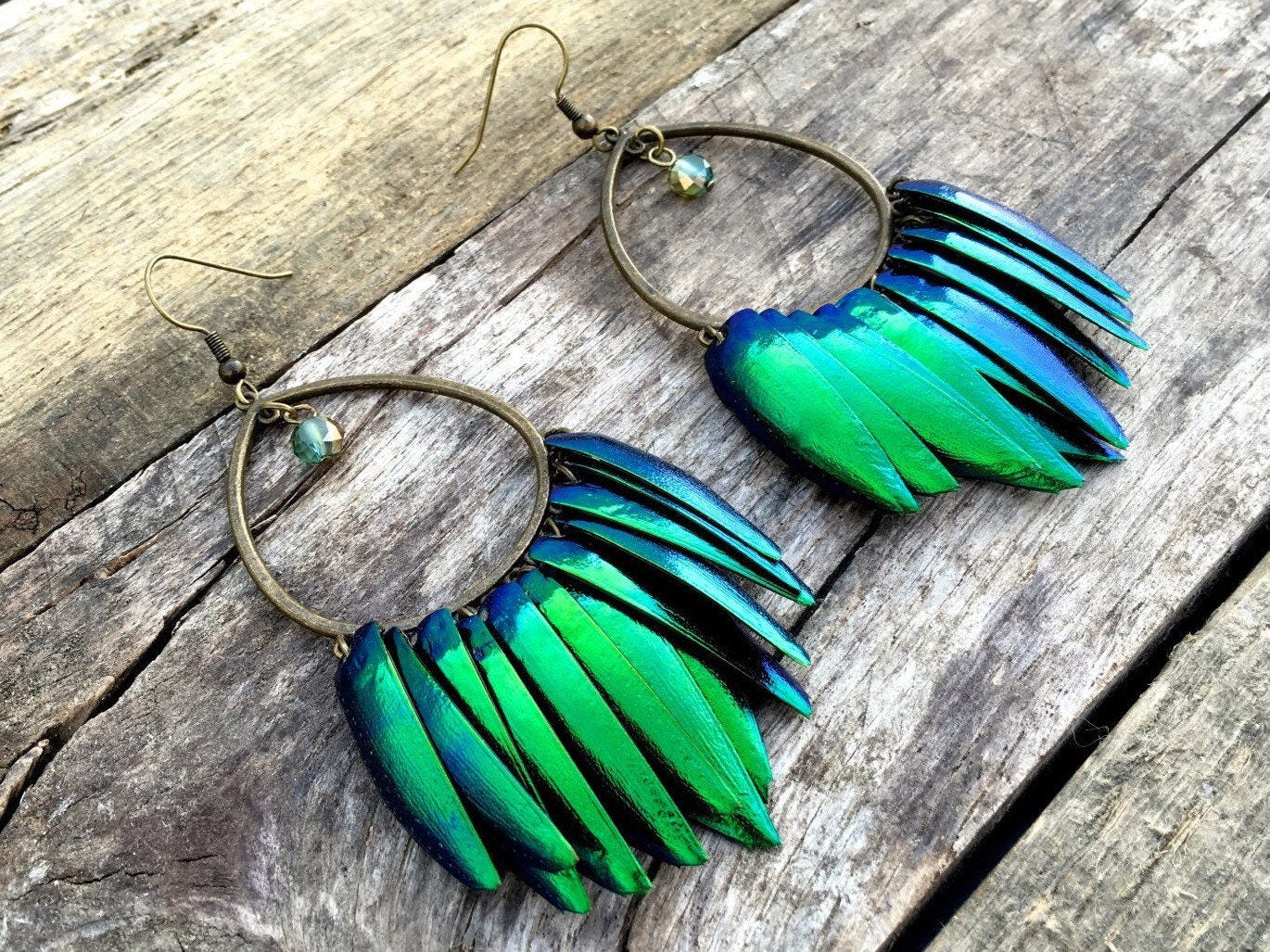 Real beetle wing earrings Taxidermy bug earrings Large statement earrings Insect earrings Elytra green beetle earrings Statement hoops