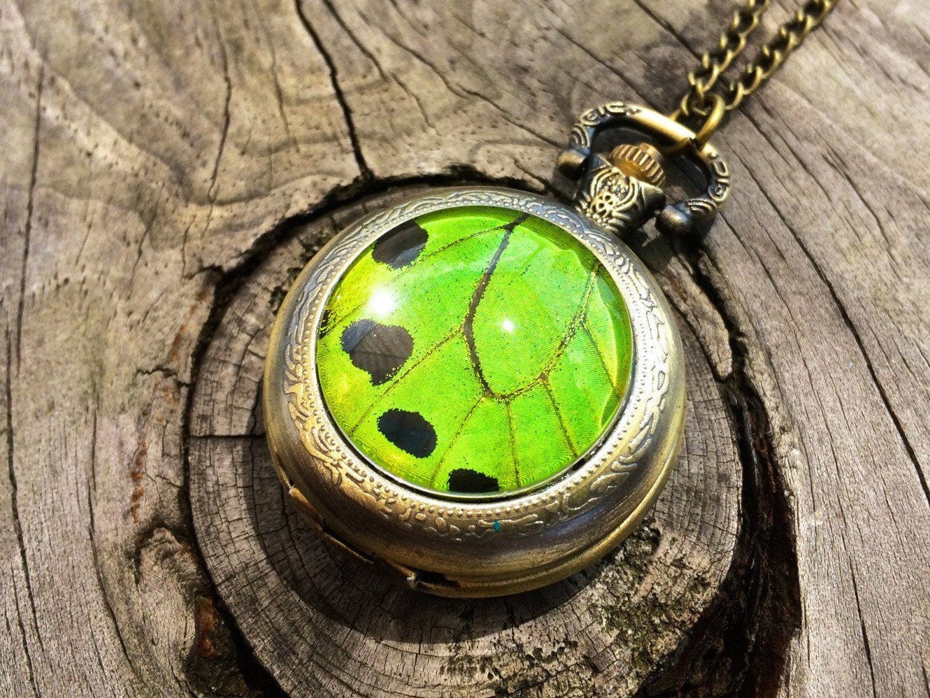 Real butterfly wing Steampunk pocket watch locket necklace Working watch necklace for men women Taxidermy insect Oddities and curiosities