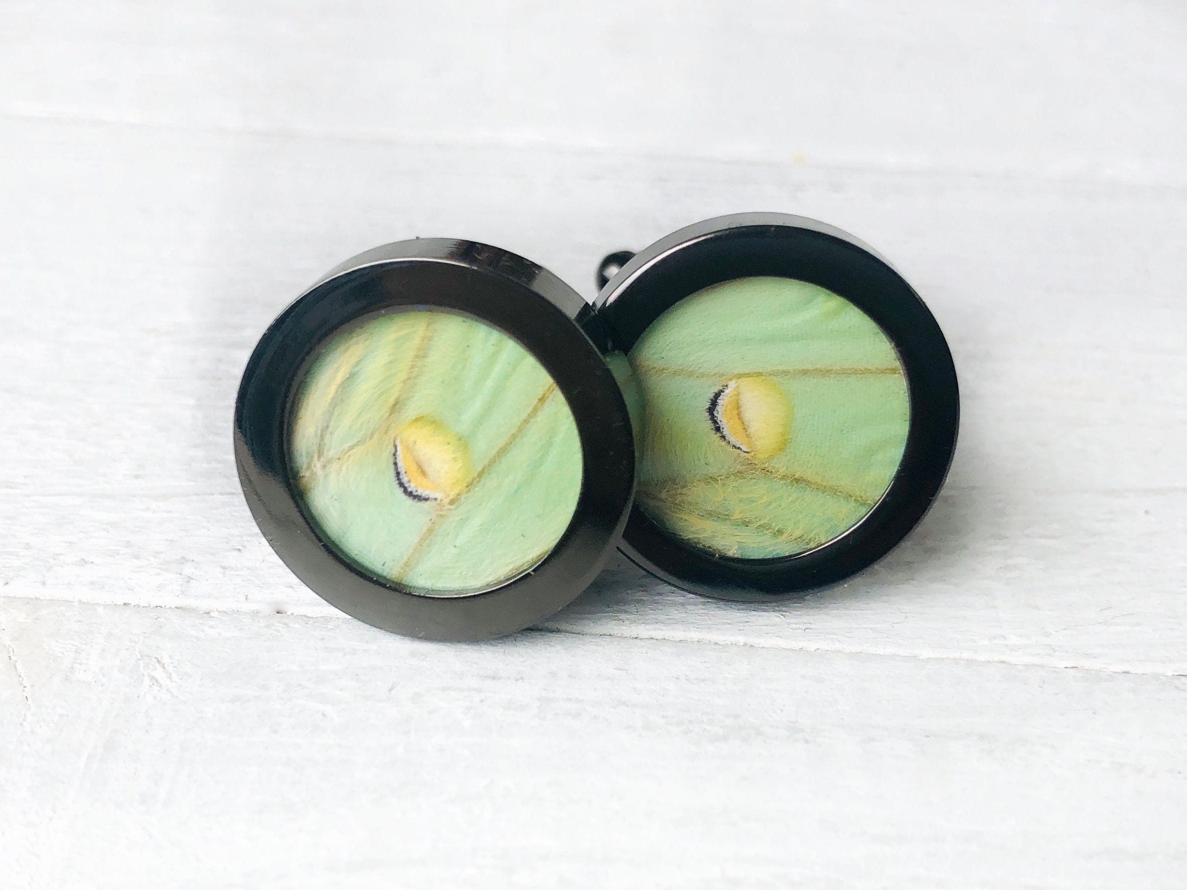 Real Luna moth cufflinks for men Weird cufflinks for wedding Personalized cufflinks for groomsmen gift ideas Wedding cuff links for brother