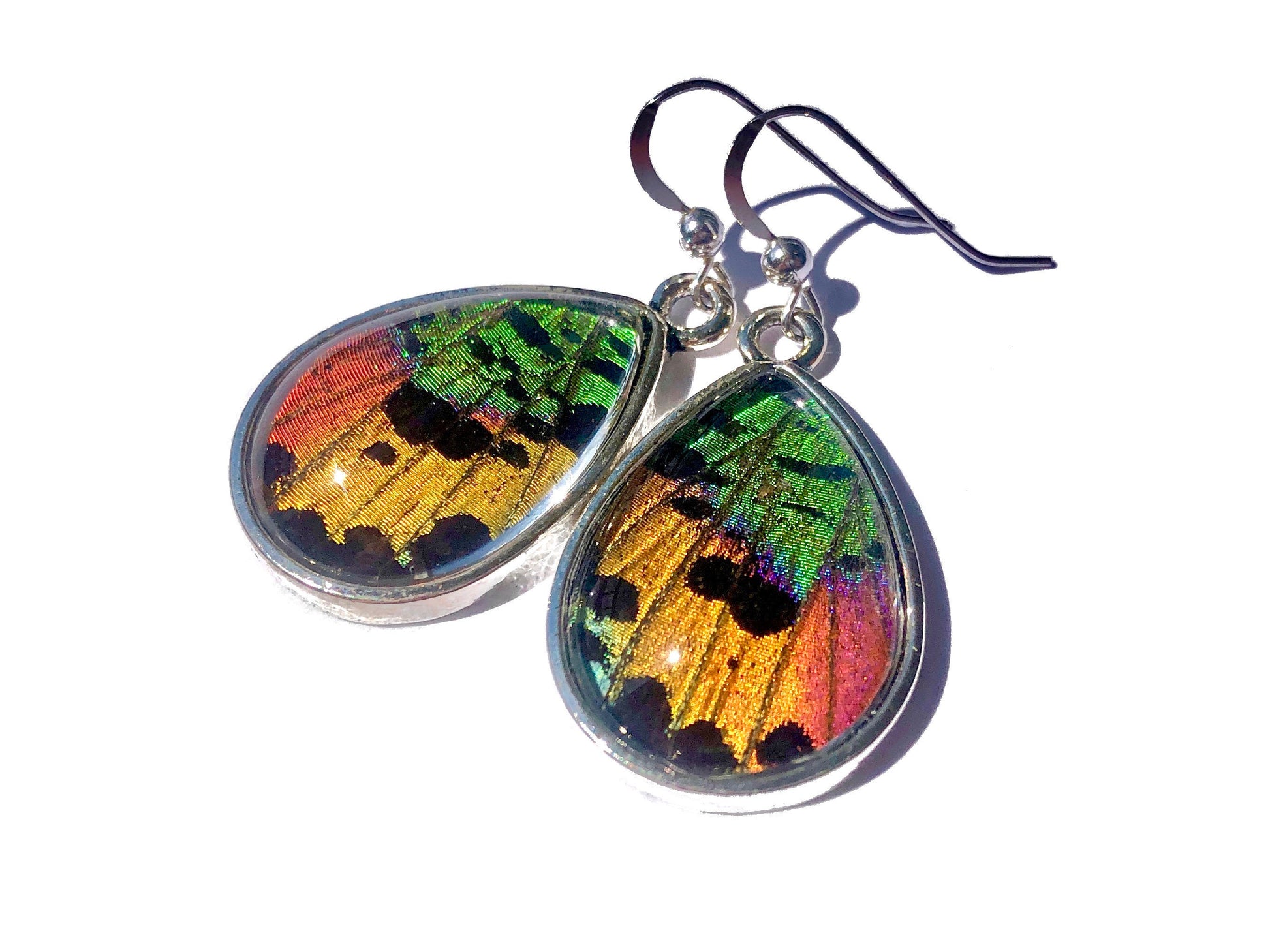 Real butterfly wing earrings Monarch butterfly earrings Terrarium earrings Real bug earrings Pressed flower earrings Fairy wings costume