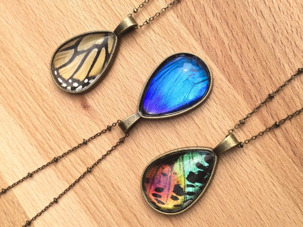 Nature jewelry Real Butterfly necklace Real butterfly jewelry Monarch butterfly necklace Taxidermy butterfly Blue Morpho Sunset moth bug
