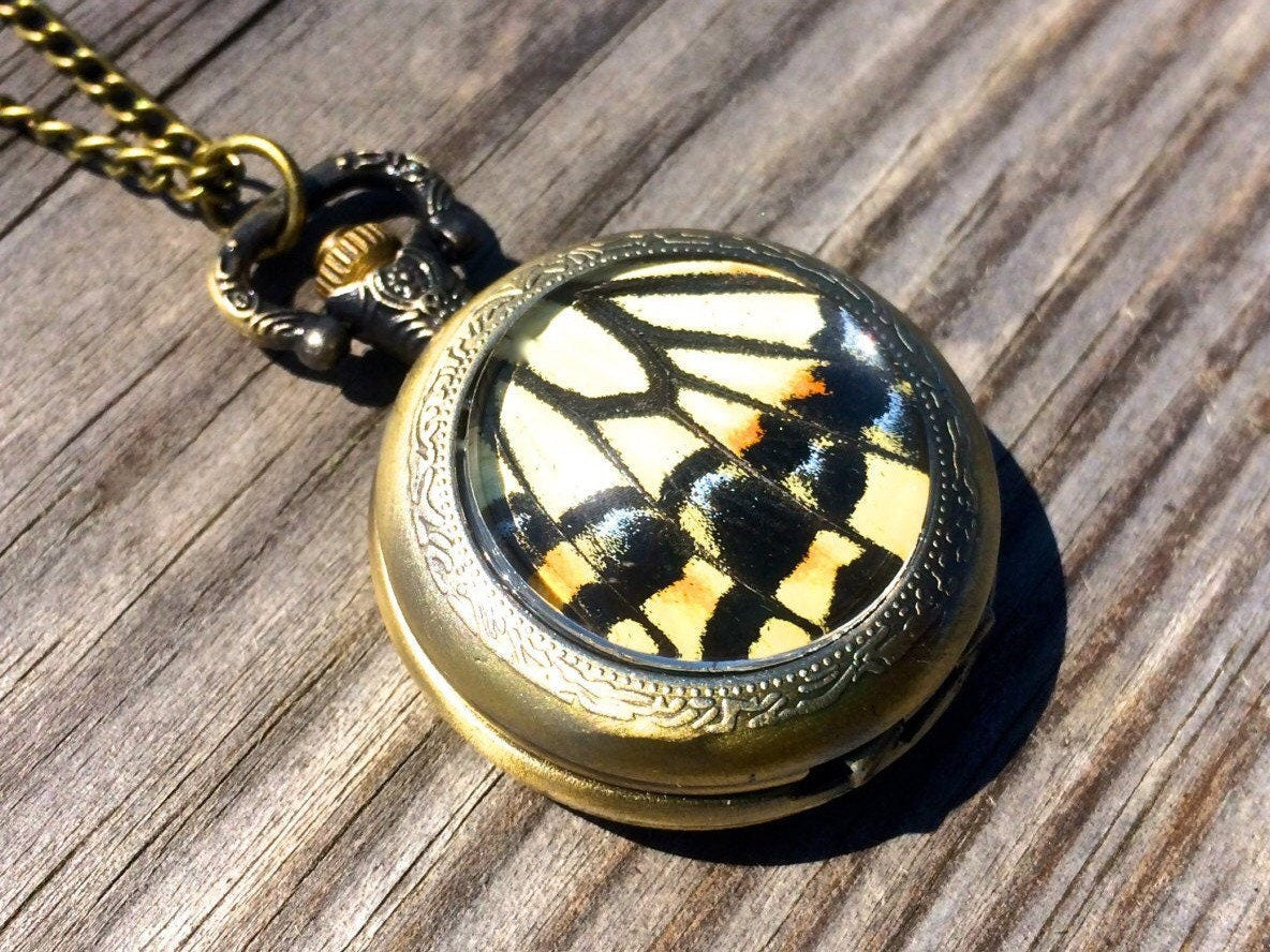 Real Swallowtail butterfly clock necklace Real insect jewelry butterfly wing pendant mechanical pocket watch Steampunk Pocketwatch