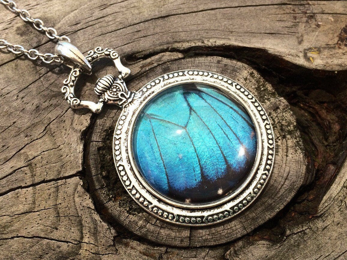 Real blue morpho butterfly necklace Something blue for bride Trending now in jewelry Boho turquoise necklace Silver watch necklace