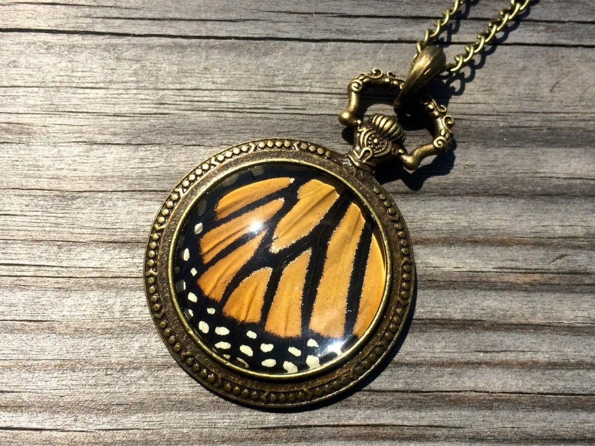 Real monarch butterfly wing necklace Ethically sourced taxidermy jewelry Steampunk pocket watch style necklace Pressed flower necklace