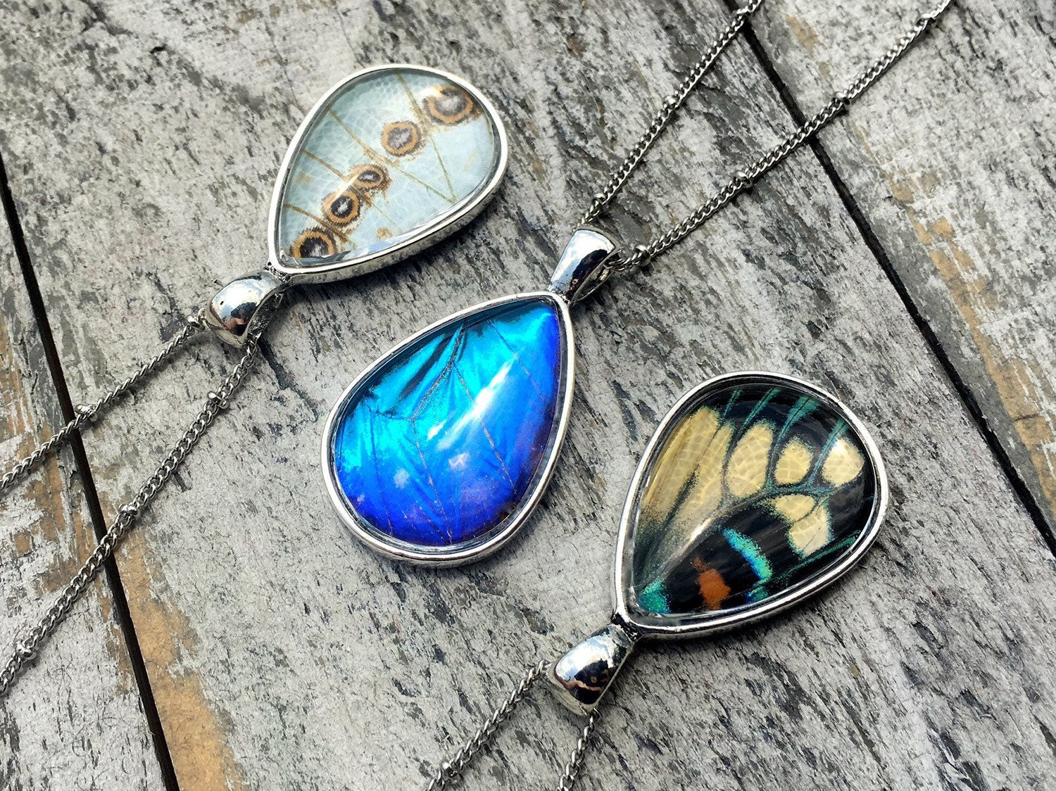 Real butterfly wing necklace Monarch butterfly necklace Friendship necklace for 2 3 4 5 6 Terrarium necklace Blue morpho butterfly jewelry