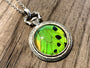 Real Butterfly wing necklace Green jewelry Moon phase necklace Silver Pocket watch necklace Insect jewelry Lime green Statement Necklace