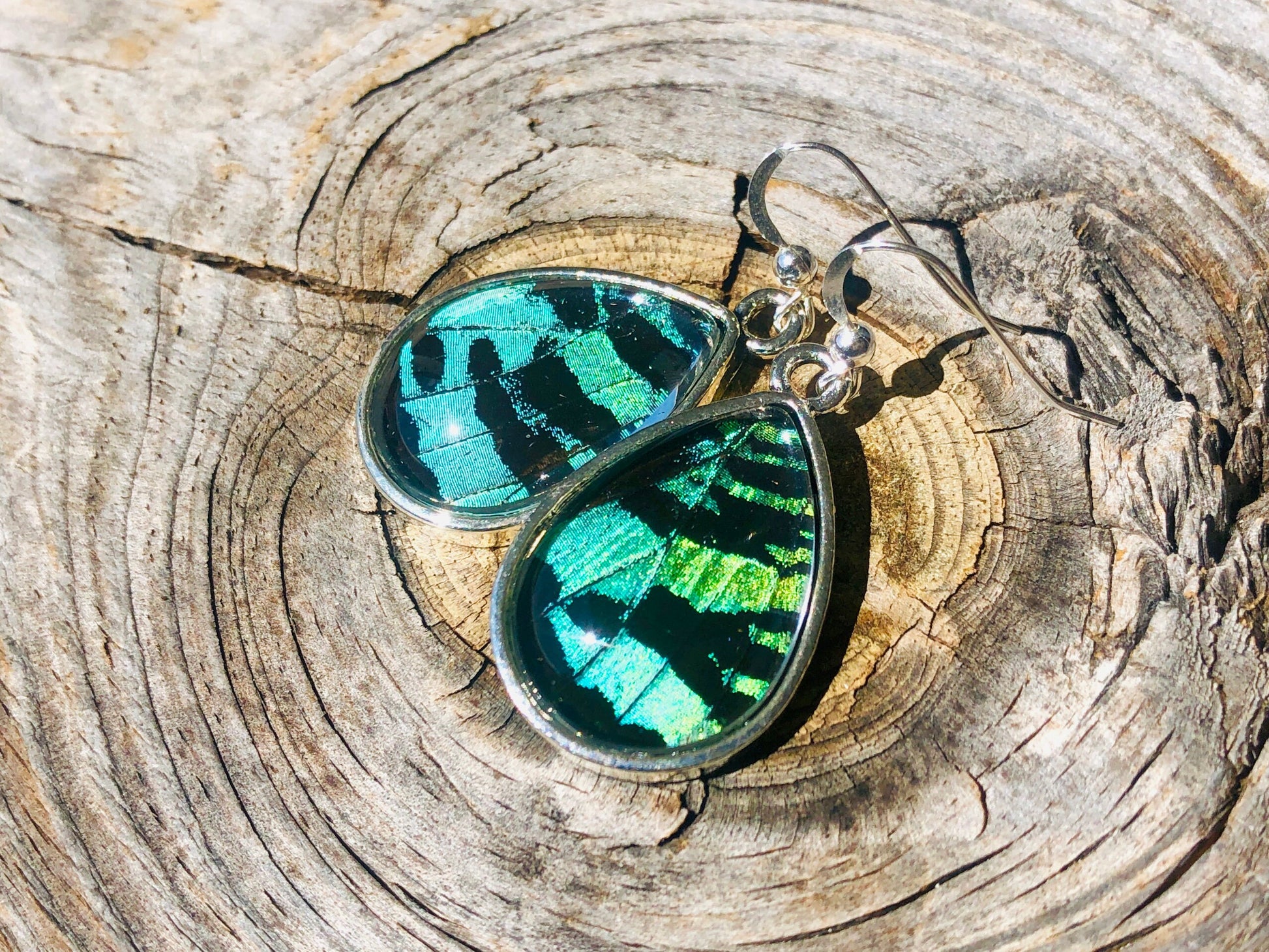 Real moth earrings Unique earrings for women Green butterfly wing earrings Butterflies earrings Real insect earrings Pressed flower earrings