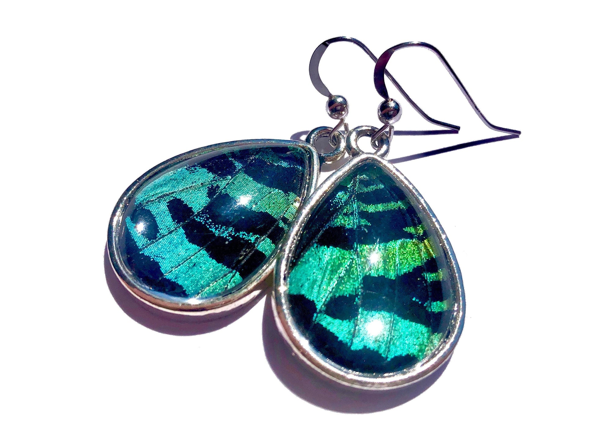 Real moth earrings Unique earrings for women Green butterfly wing earrings Butterflies earrings Real insect earrings earrings