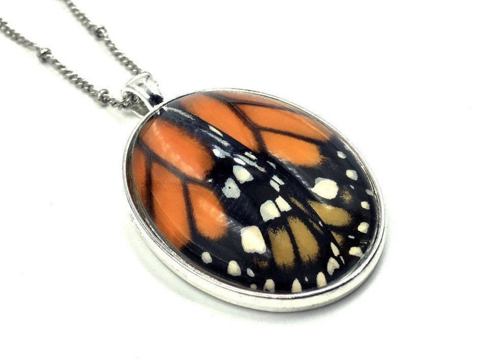 Real butterfly wing necklace Monarch butterfly necklace Clover necklace Dried insect necklace necklace Real butterfly jewelry