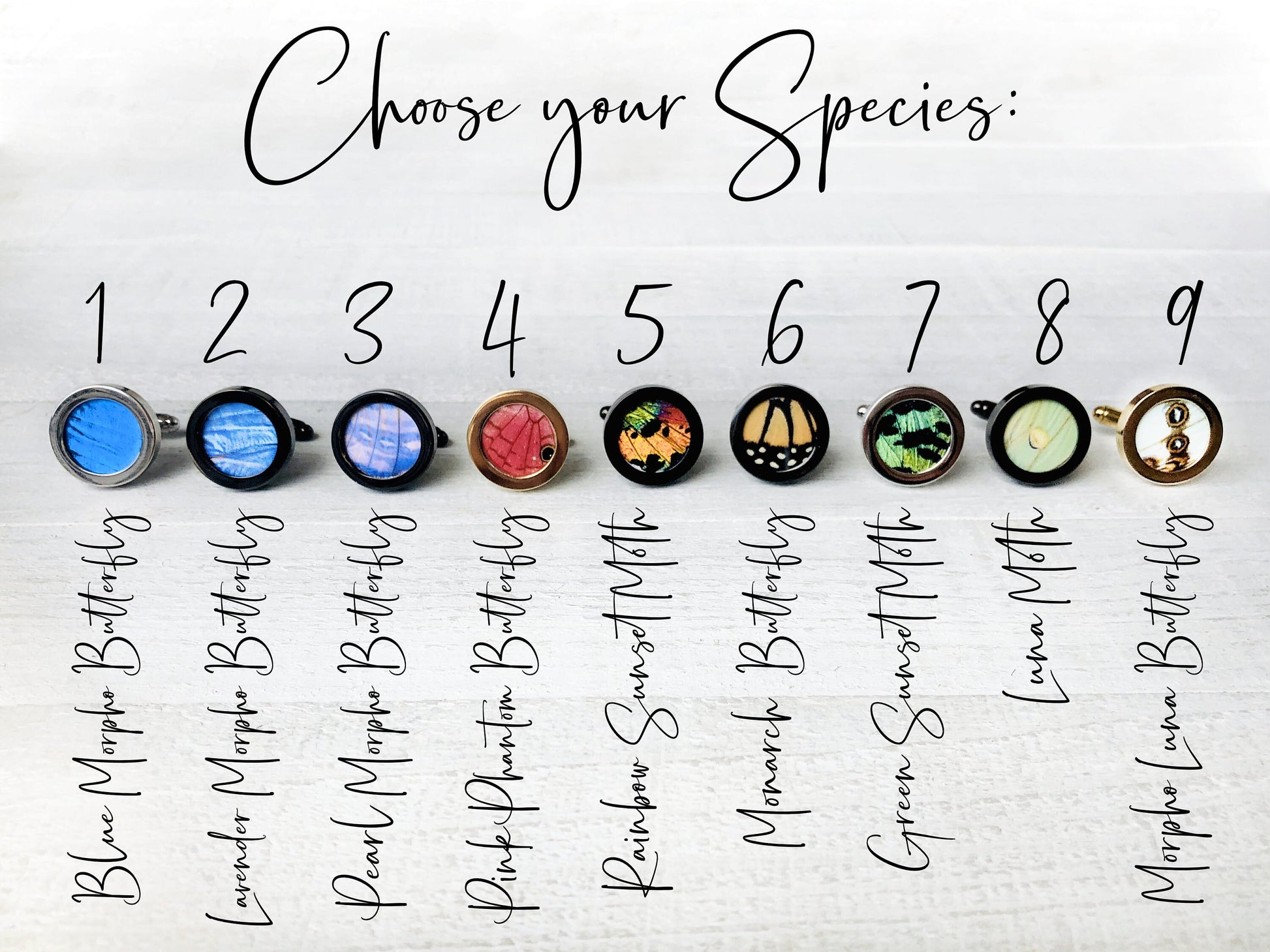 Real Butterfly cufflinks for groomsmen set of 1 2 3 4 5 6 7 8 Framed butterfly wing cufflinks for men Personalized cufflinks for wedding