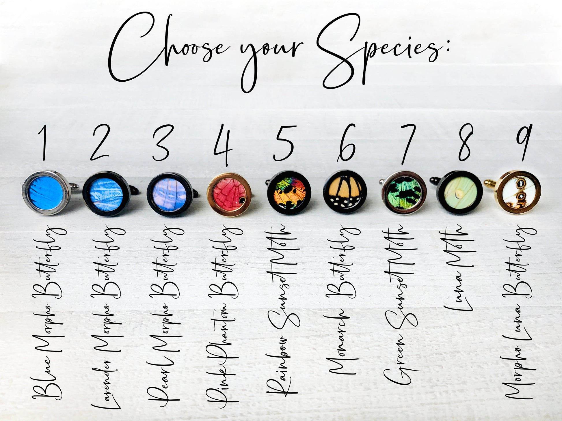 Real Butterfly cuff links Rainbow cufflinks Wedding gift for men who have everything Cool cuff links Personalized cuff links for Groomsmen